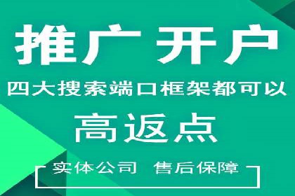 百度推广平台案例剖析：揭秘广告投放策略